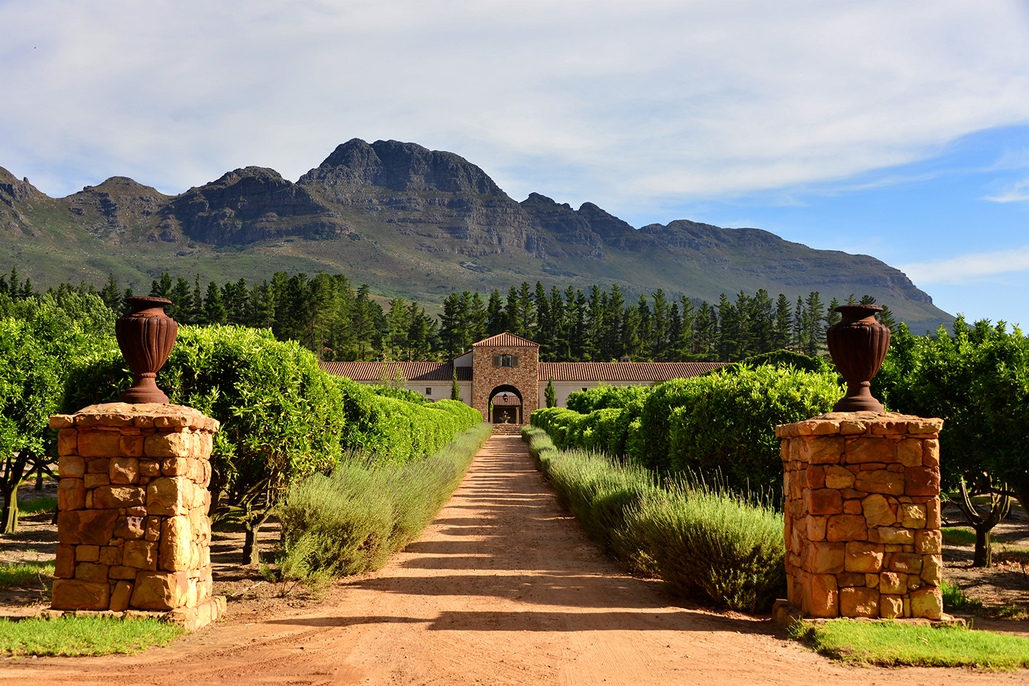 Stellenbosch Wine region