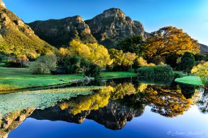 Beautiful Kirstenbosch Gardens. Cape Town Photo Tour