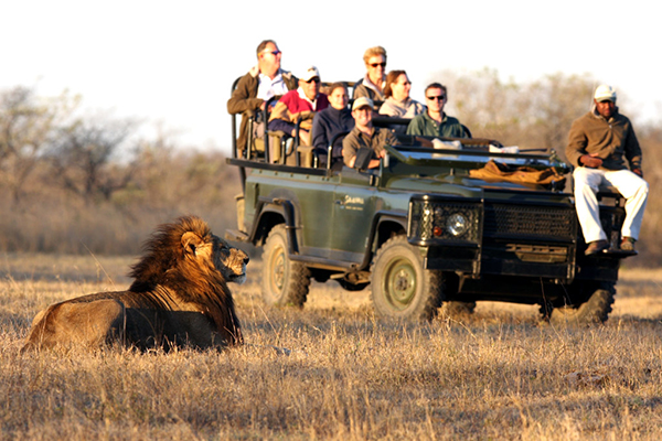 Safari In South Africa