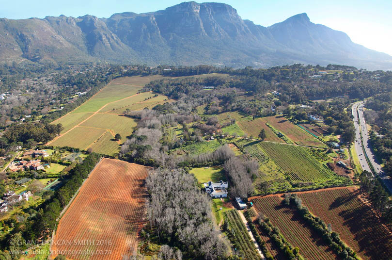 Aerial View Constantia Vineyards