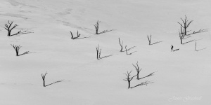 Black and White Image of Deadvlei with a photographer for scale. Namibia photo tours