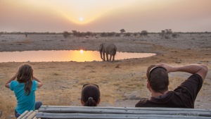 Family watching elephant sunset Okaukeujo Etosha. Namibia Photo Tours