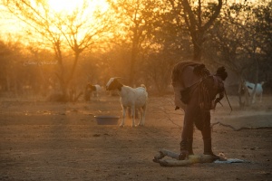 Sunset Himba authentic village, Namibia Photo Tour