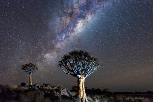 Quiver Tree Forest with Milky Way Namibia. Namibia photo tours