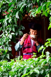 Portrait Longsheng Village Lady drinking Tea. Photo Tour China