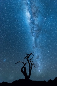 Milky Way Lone Tree Tirasberg Namibia. Namibia photo tours