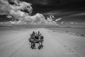 Damaraland Donkey cart. Namibia Photo Tours